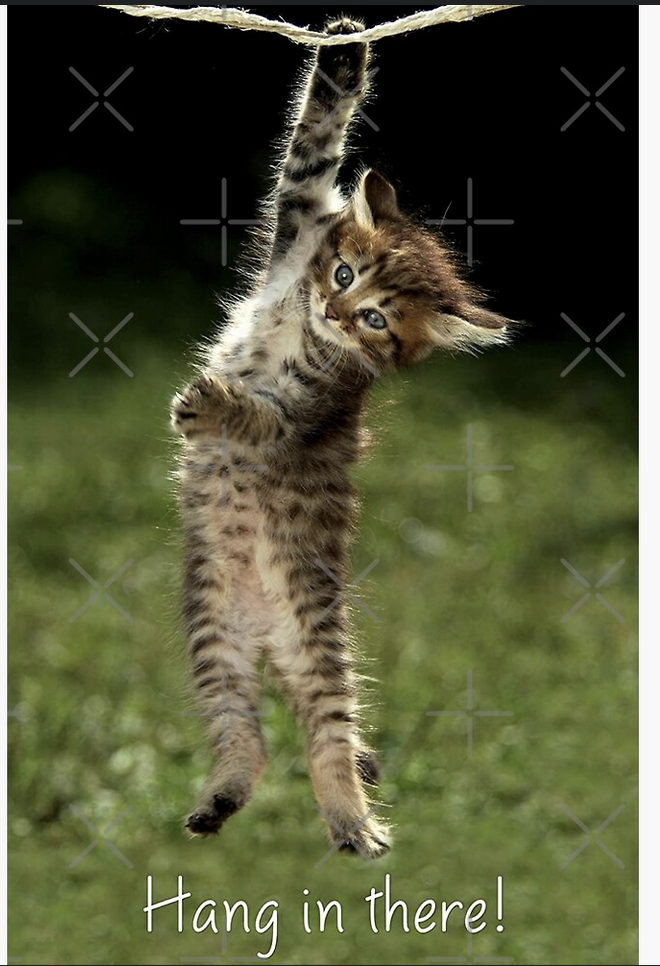 Hang in there!